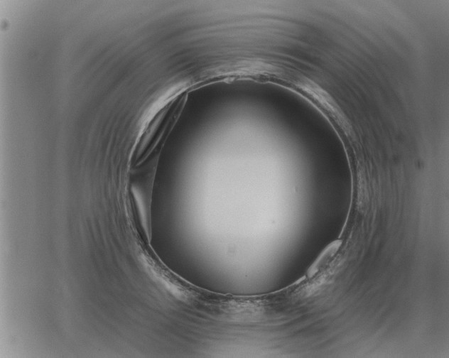 X0000062880850200601201818