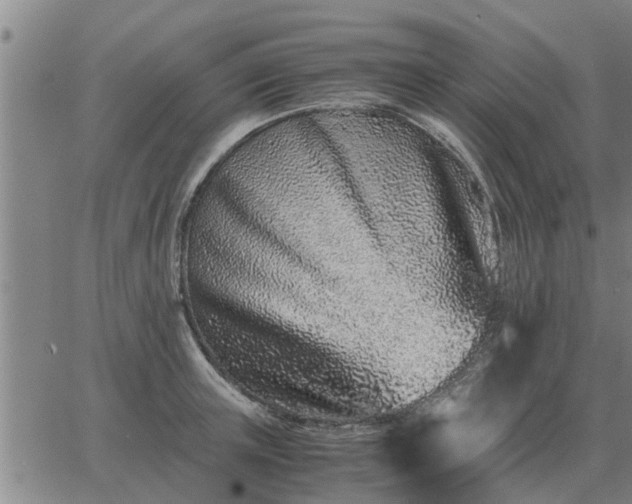 X0000062880851200601201818