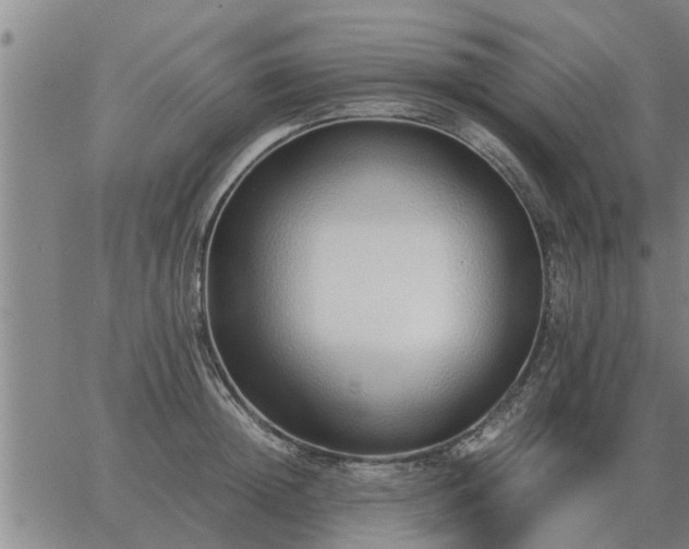 X0000062880852200601201818