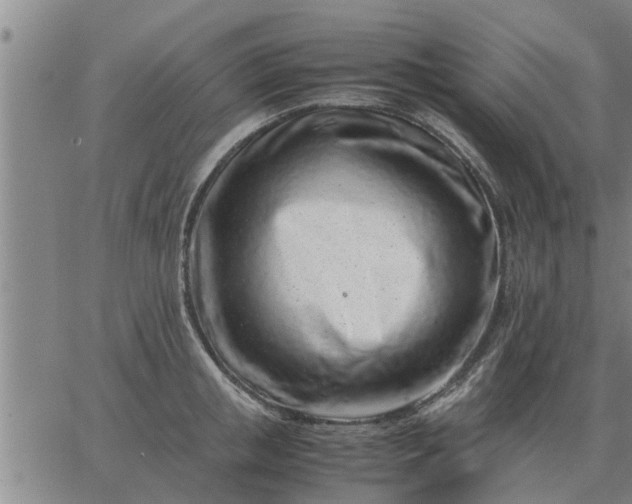 X0000062880853200601201818