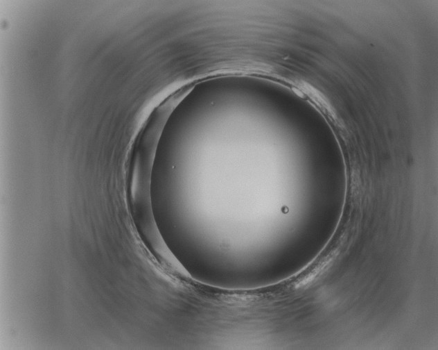 X0000062880854200601201818