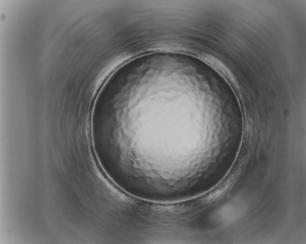 X0000062880855200601201818