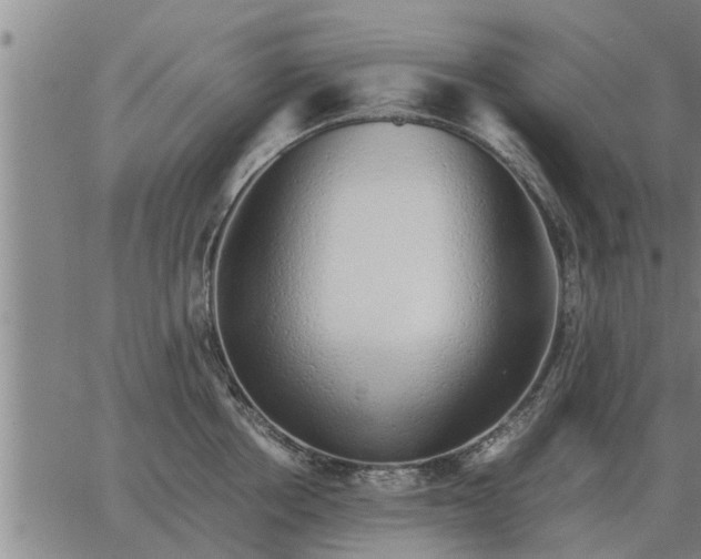 X0000062880858200601201818