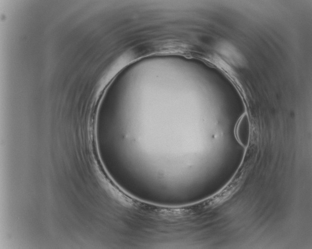 X0000062880859200601201818