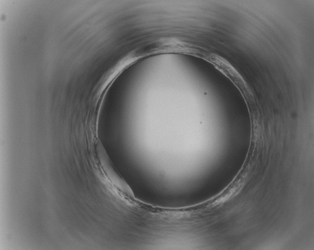 X0000062880860200601201818