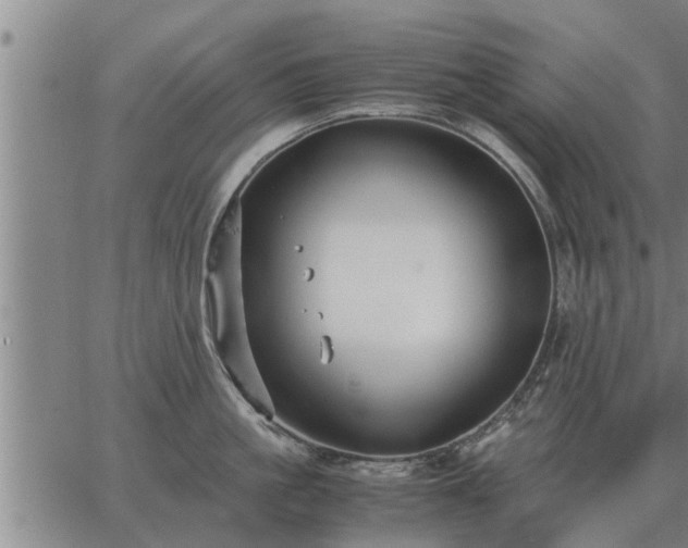 X0000062880861200601201818