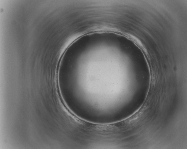 X0000062880863200601201818