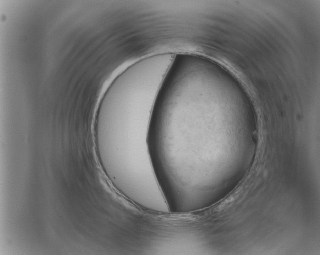 X0000062880864200601201818