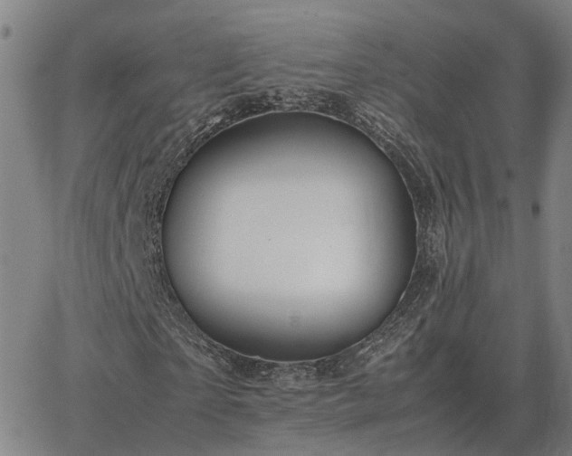 X0000062880865200601201817