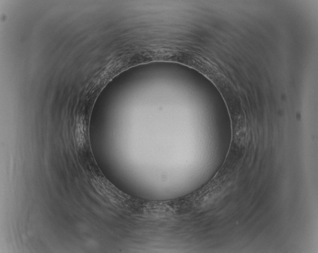 X0000062880866200601201817