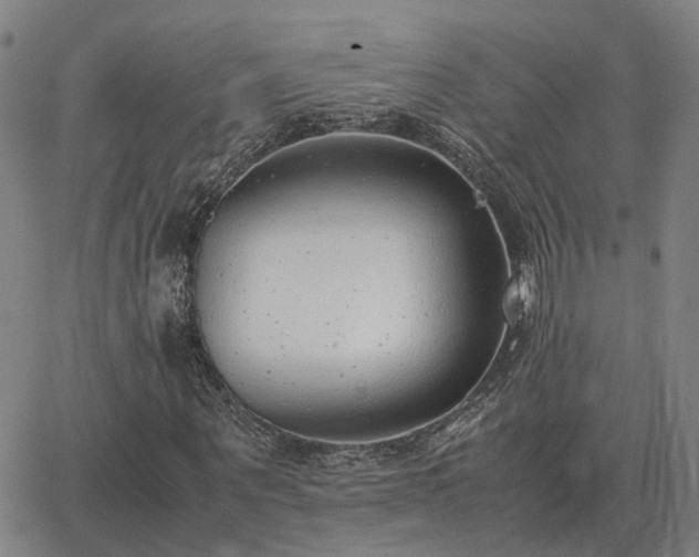 X0000062880867200601201817