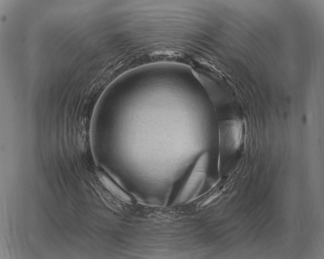 X0000062880868200601201817