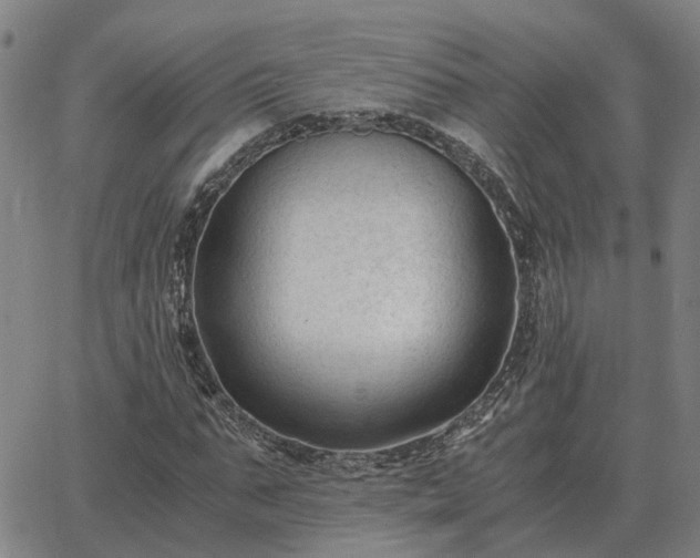 X0000062880871200601201817