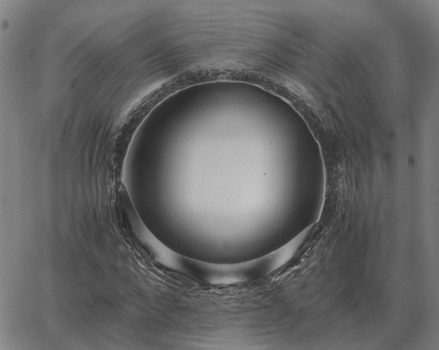 X0000062880872200601201817