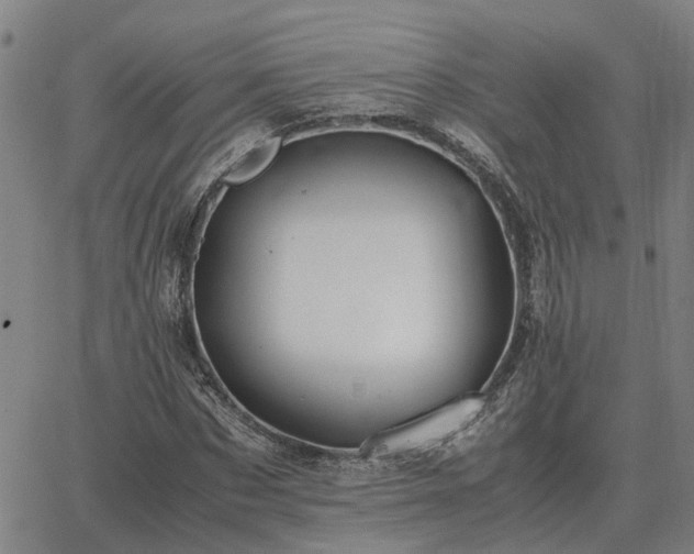 X0000062880873200601201817