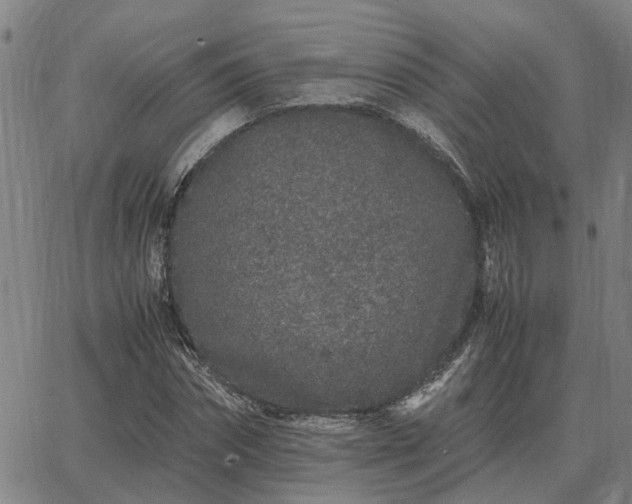 X0000062880874200601201817