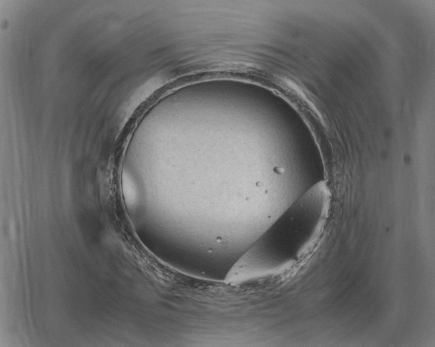 X0000062880875200601201817