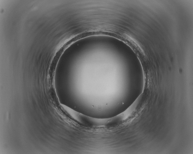 X0000062880876200601201817