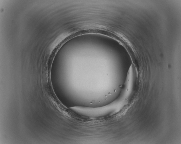 X0000062880877200601201817