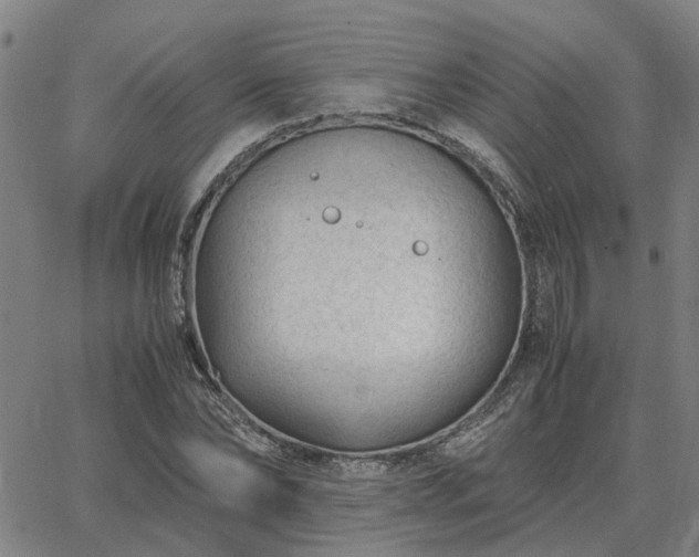 X0000062880878200601201817