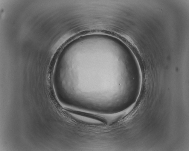 X0000062880879200601201817