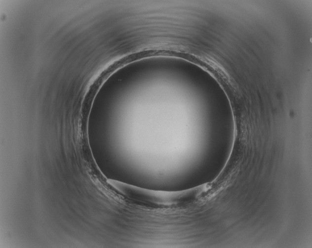 X0000062880880200601201817