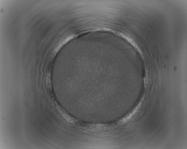 X0000062880881200601201817