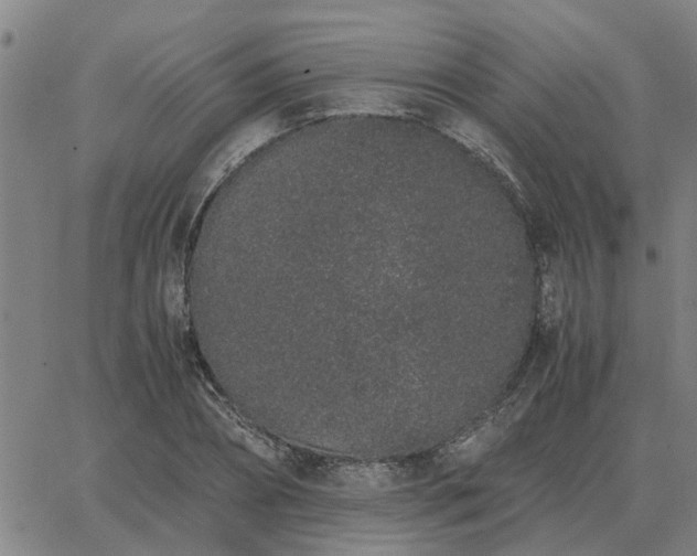 X0000062880882200601201817