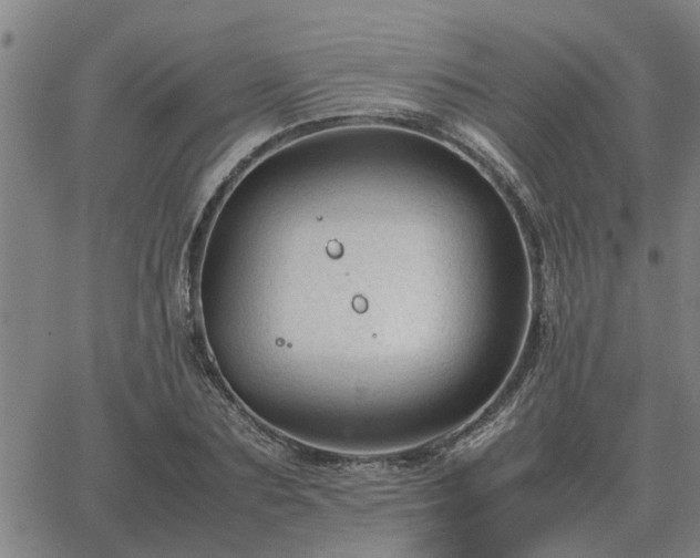 X0000062880883200601201817