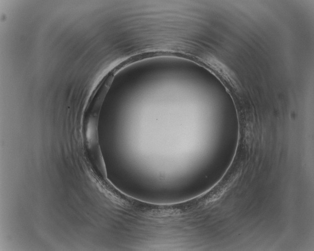 X0000062880884200601201817