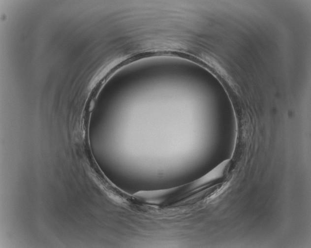 X0000062880885200601201817