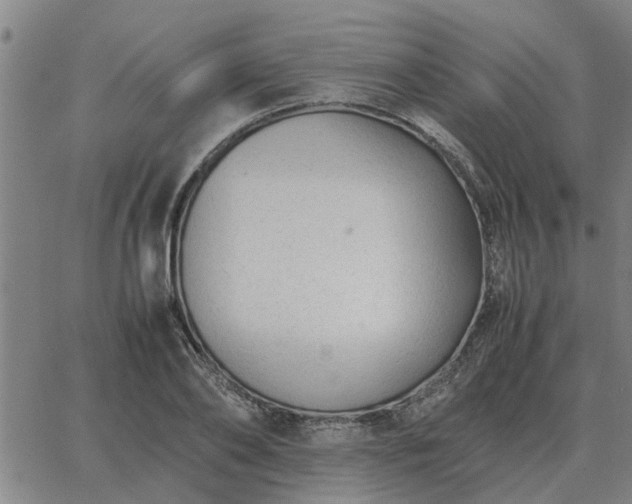 X0000062880886200601201817