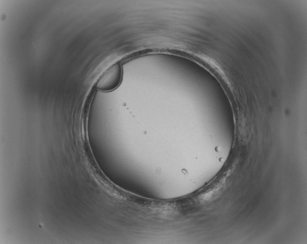 X0000062880887200601201817