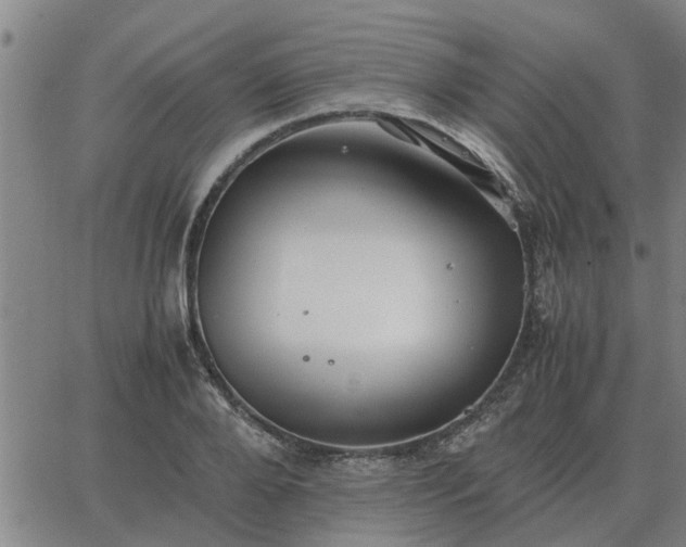 X0000062880888200601201817