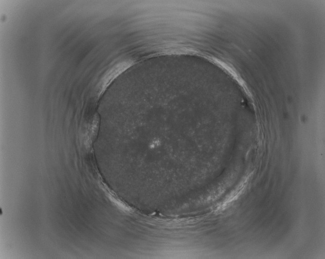 X0000062880889200601201817