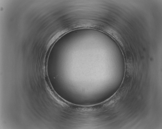 X0000062880890200601201817