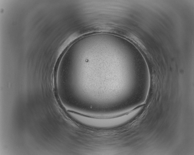 X0000062880891200601201817