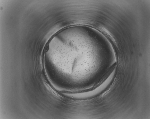 X0000062880892200601201817