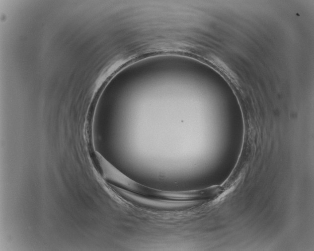 X0000062880893200601201817