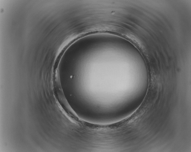 X0000062880894200601201817