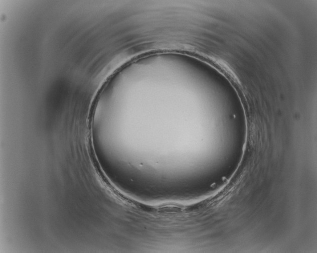 X0000062880895200601201817