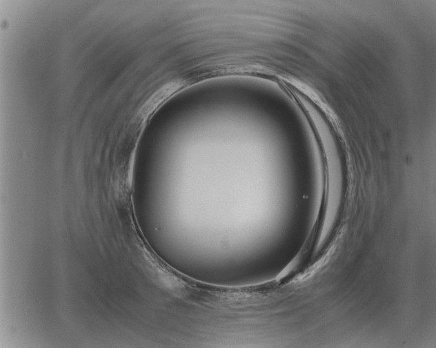 X0000062880897200601201817