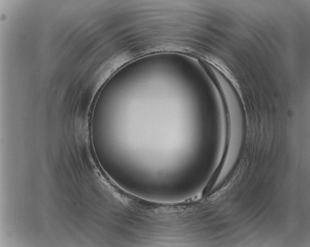 X0000062880898200601201817