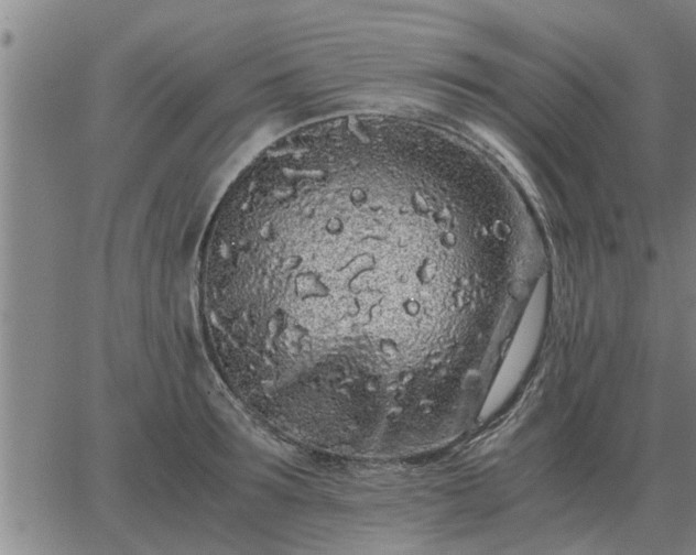 X0000062880899200601201817