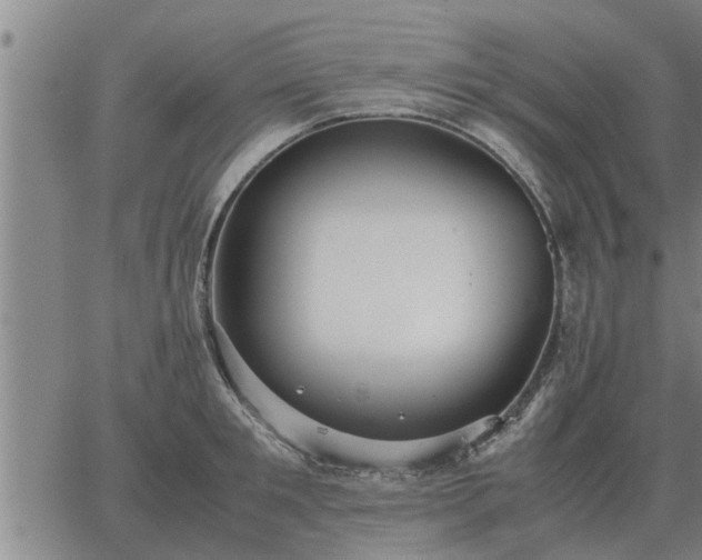 X0000062880901200601201817