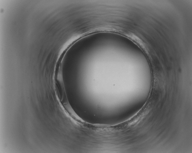 X0000062880902200601201817