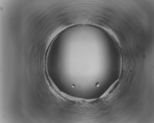 X0000062880903200601201817