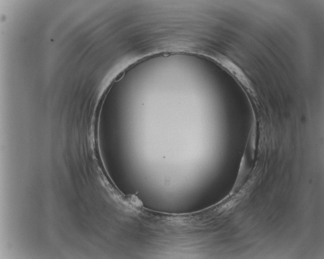 X0000062880904200601201817