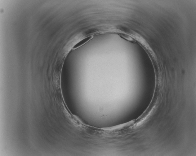 X0000062880905200601201816