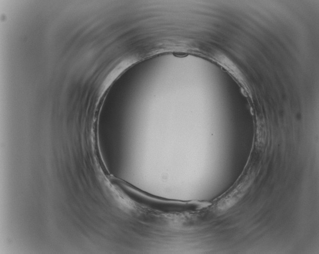 X0000062880906200601201816